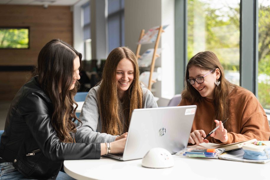 Students studying at Usk library